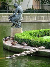 Валленштейнскій сад, Фото: Архів Радіо Прага   Не менш привабливим елементом саду є центральний декоративний ставок з безліччю різнокольорових рибок