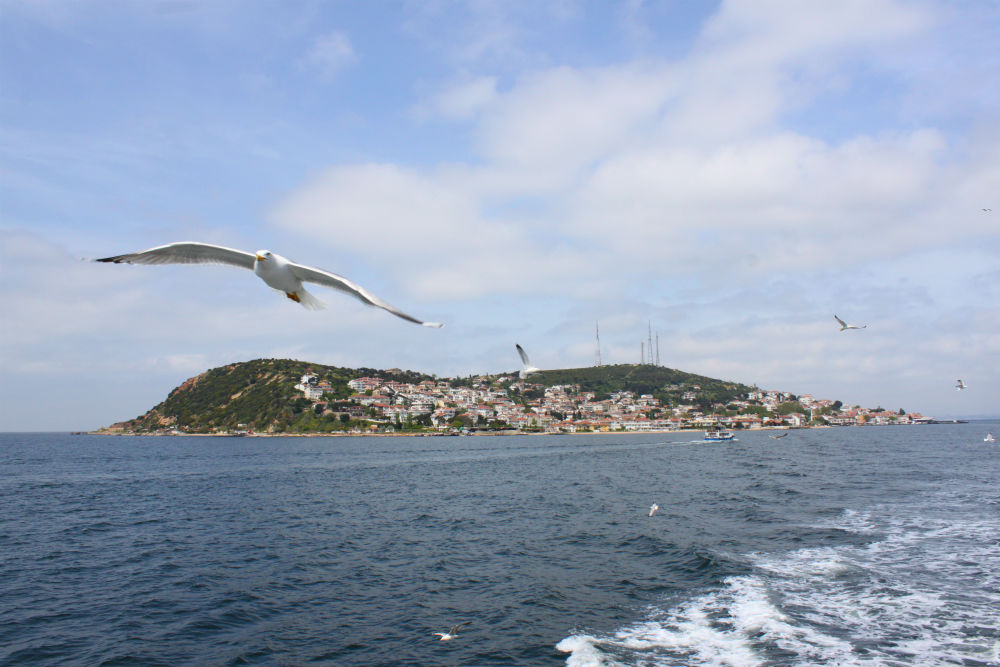 Цікаві екскурсії від місцевих жителів в Стамбулі