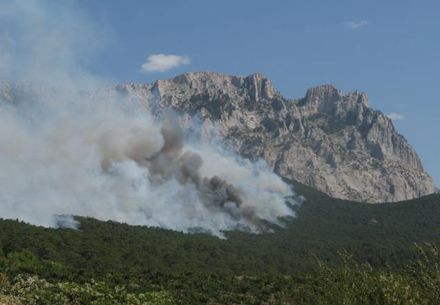 За словами фахівців МНС, це перший подібних масштабів пожежа, що трапилася тут за останні 10 років