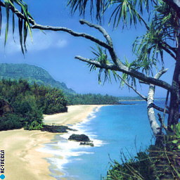 Острів Ямайка розташований в північній частині Карибського моря в 144 км на південь від   Куби