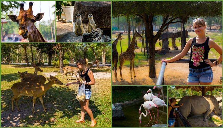 Відкритий зоопарк Кхао Кхео