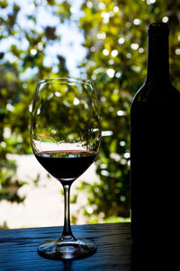 У тій же провінції Бургос виноробня Віелла запрошує побачити процес перетворення винограду на вино, починаючи з відбору підходящих грон винограду до контролю якості