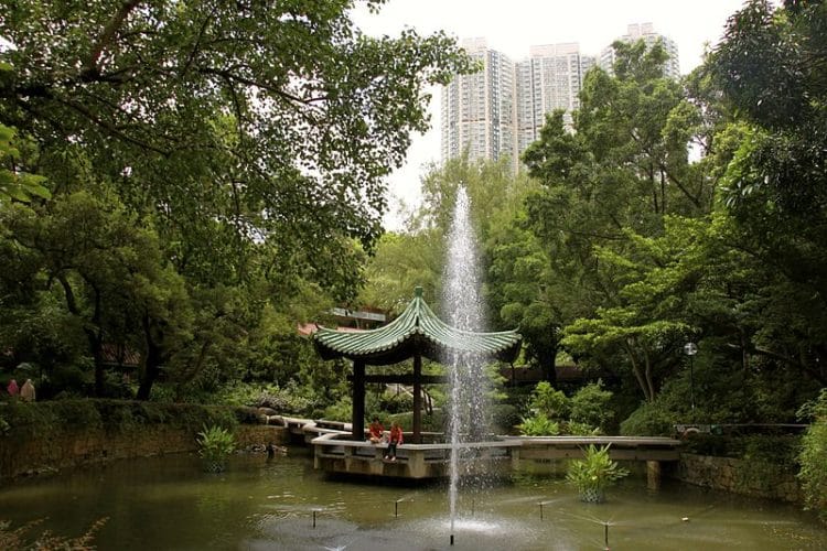Вид на Коулунскій парк в центрі району Чімсачёй в Гонконзі   Baycrest   Китайський сад на території великого громадського парку Коулун в Гонконгу   User: Matthias Süßen