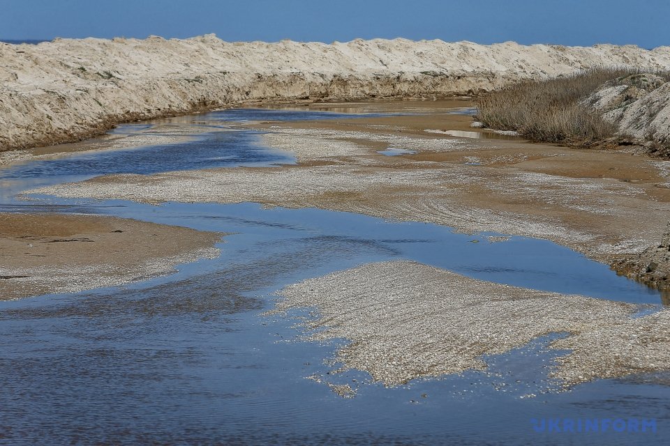 Штучна вимоїна, що з'єднує Молочний лиман з Азовським морем, розчищена для нересту пеленгаса