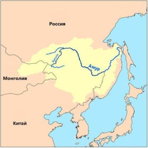 Амур - десята за довжиною річка в світі, розташована в Східній Азії і утворює кордон між Далекосхідним округом Російської Федерації і Північно-Східним Китаєм